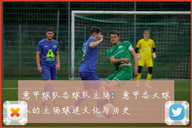 意甲球队各球队主场：意甲各大球队的主场球迷文化与历史