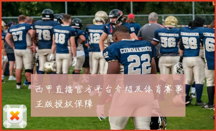 西甲直播官方平台介绍及体育赛事正版授权保障